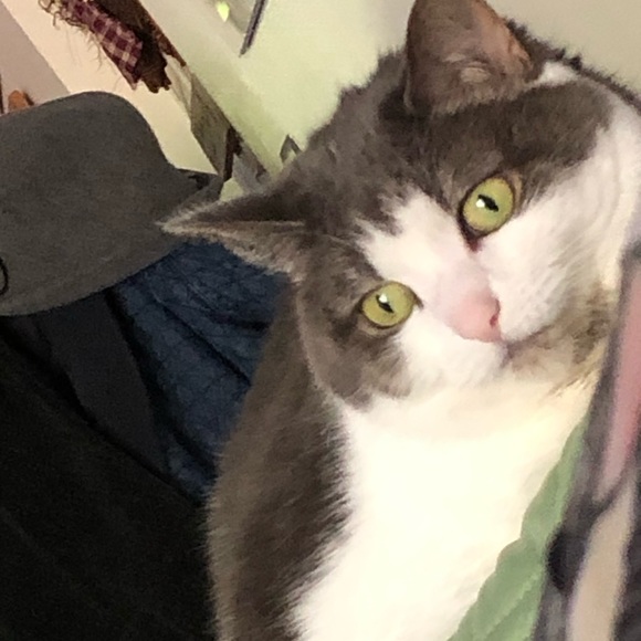 Meet your Posher, Cheryl - Picture 2 of 3